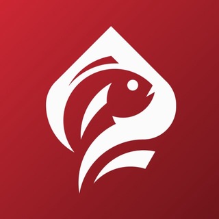 Check-Check Club Санкт-Петербург